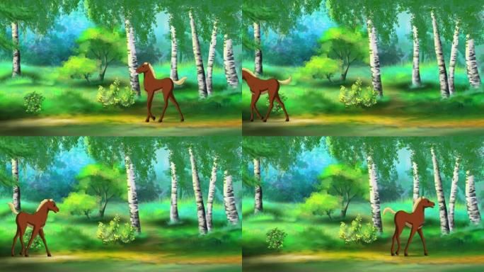 棕色小马驹在森林中行走4K
