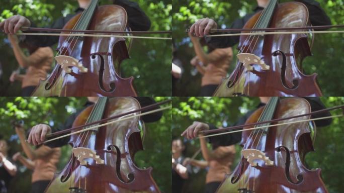 音乐家演奏大提琴的特写镜头