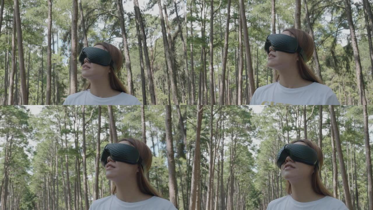 松林的可持续VR玻璃体验