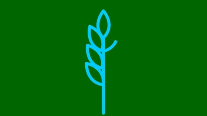 麦穗的动画蓝色符号。收获、食物、面包的概念。线性图标。矢量插图孤立在绿色背景上。