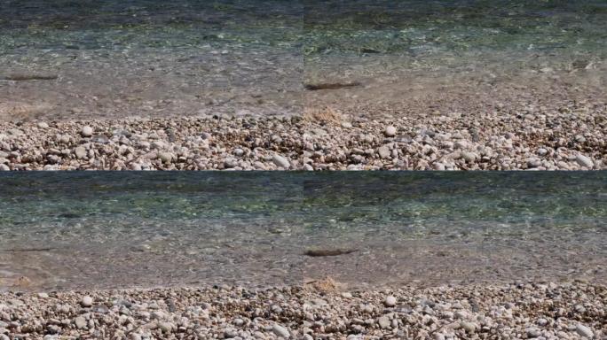 海浪特写。海浪在海滩上滚过鹅卵石。暑假概念。