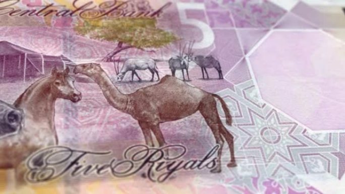 卡塔尔卡塔尔里亚尔5张纸币，5张卡塔尔里亚尔，卡塔尔里亚尔的特写和宏观视图，跟踪和多莉拍摄5张卡塔尔