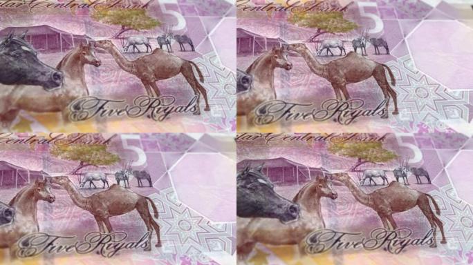 卡塔尔卡塔尔里亚尔5张纸币，5张卡塔尔里亚尔，卡塔尔里亚尔的特写和宏观视图，跟踪和多莉拍摄5张卡塔尔