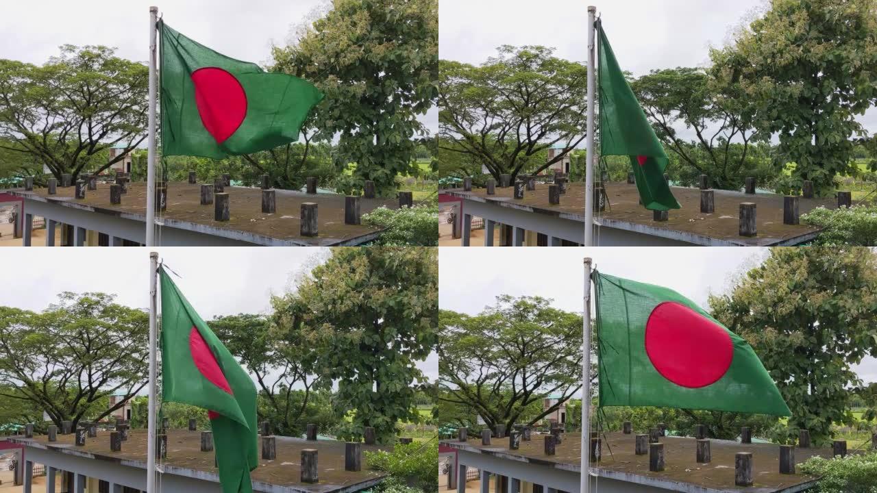 孟加拉国国旗随风飘扬。学校校园里飘扬的孟加拉国国旗。