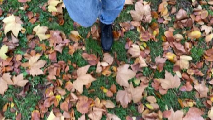 波夫女人走在秋叶上