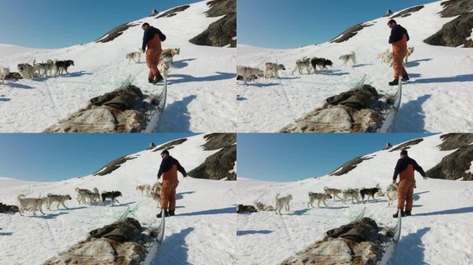雪橇司机在雪地上准备爱斯基摩犬