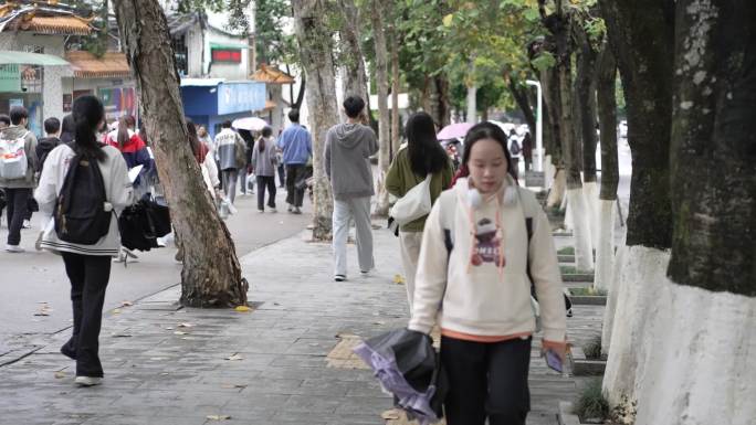 肇庆学院学生走路校园环境