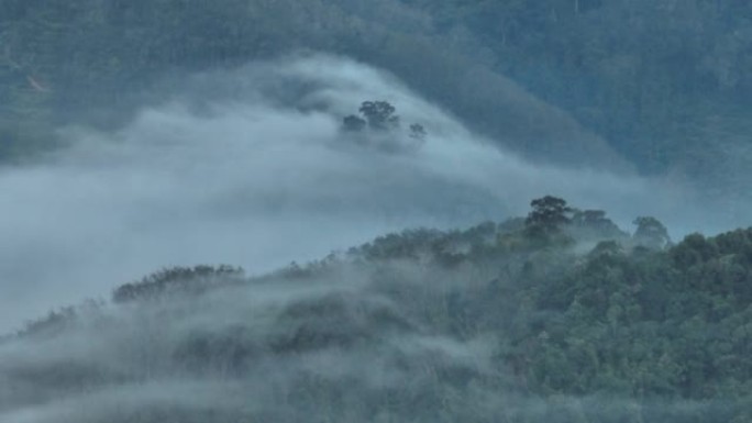 空中无人机拍摄了早晨有大量雾和薄雾的热带雨林，空中无人机观看了观点的日出场景Kunung Seipa