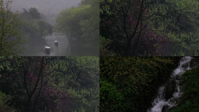 浙江杭州西湖乌龟潭雨景浴鹄湾雨景 4k