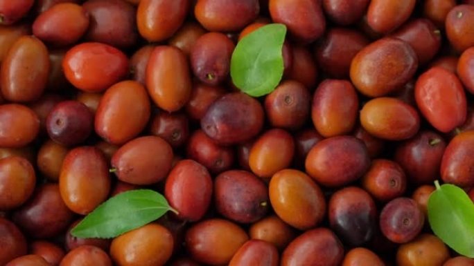 中国枣果或枣果背景旋转。收获成熟有用的浆果。酸枣果实 (Unabi common，Yuyuba中国-
