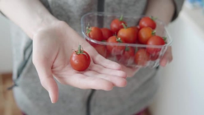 女人手里的一个小樱桃番茄。在生态农场收获的有机新鲜红番茄的特写镜头。
