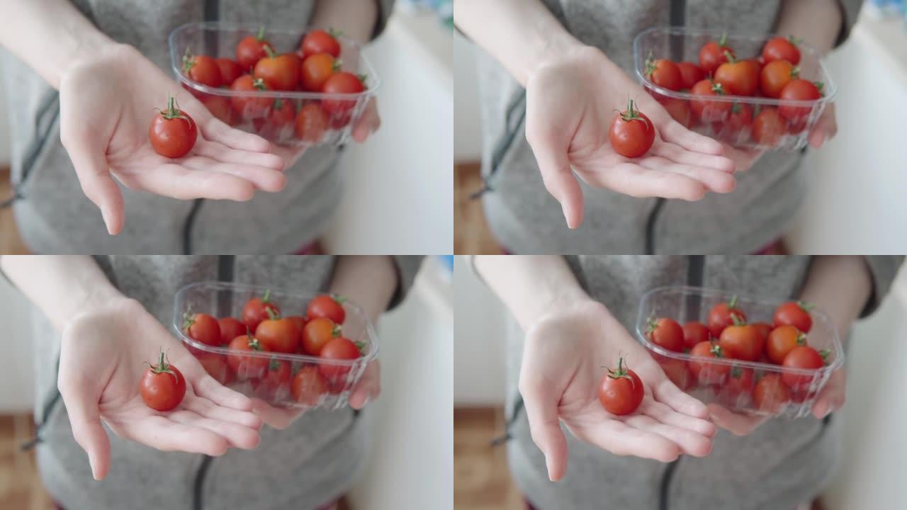 女人手里的一个小樱桃番茄。在生态农场收获的有机新鲜红番茄的特写镜头。