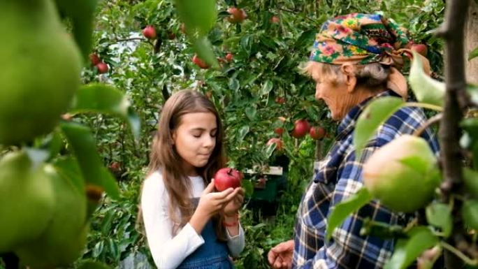 祖母和孩子在花园里吃苹果。选择性聚焦。食品。