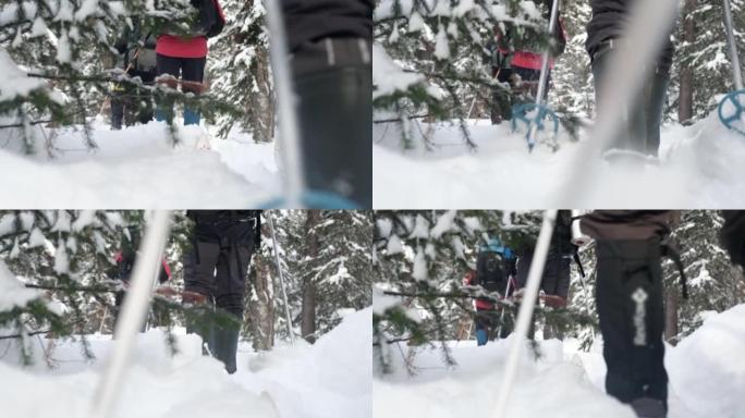 在滑雪旅行中，沿着小径的滑雪板上的游客脚的视图。