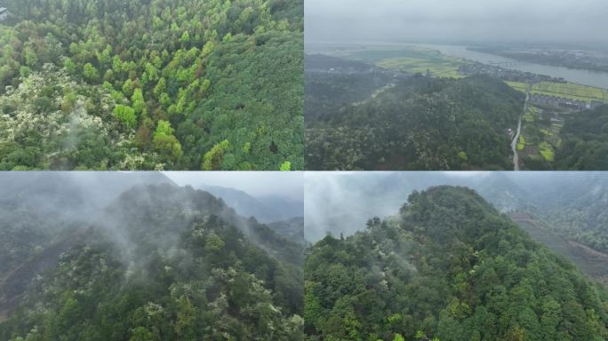 云烟雨云雾缥缈的大山