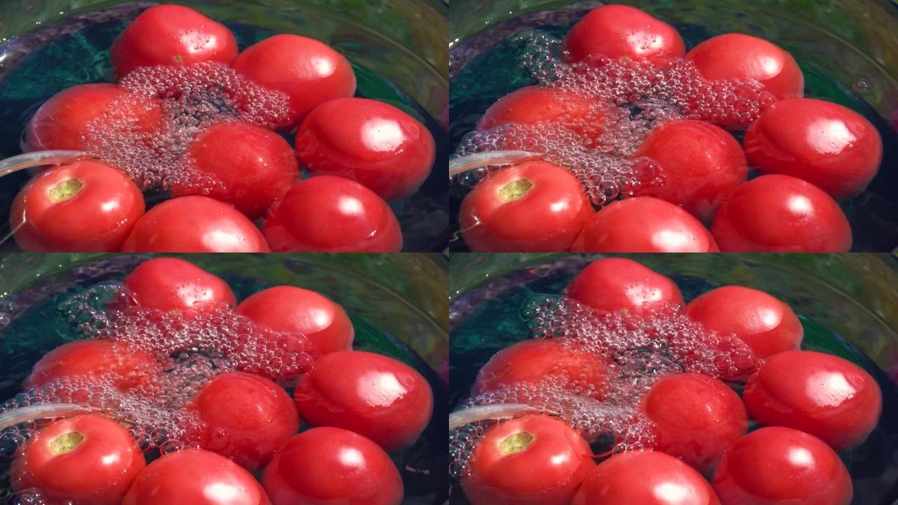 烹饪夏季沙拉。加工番茄臭氧。在水中注入臭氧进行消毒的西红柿。