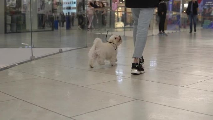 高加索女孩在商场里遛狗