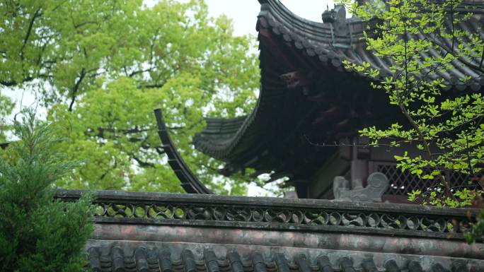 杭州钱王祠春季清明节雨天古建筑自然唯美