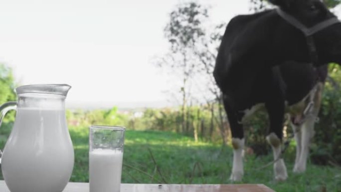 由乳制品制成的美味早餐饮食。背景是奶牛的木桌上的玻璃瓶和玻璃杯中的新鲜牛奶。乡村的天然自制饮料。农场