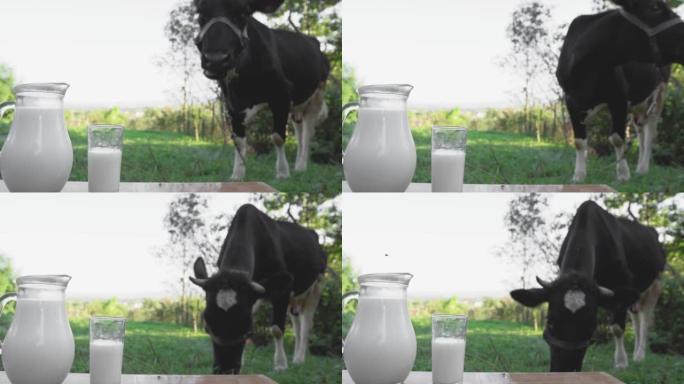 由乳制品制成的美味早餐饮食。背景是奶牛的木桌上的玻璃瓶和玻璃杯中的新鲜牛奶。乡村的天然自制饮料。农场