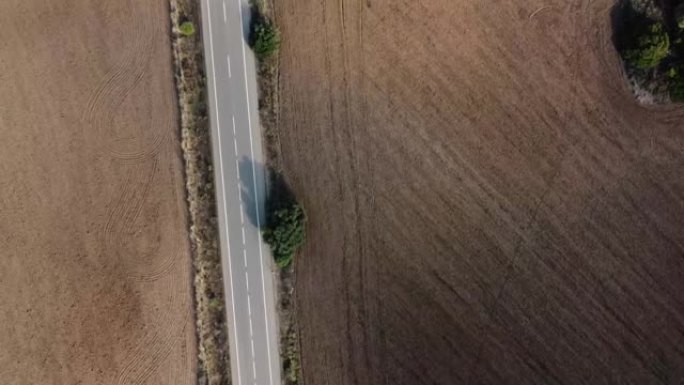 一条现代道路的航拍画面，两边都是无草的土地和五颜六色的树木