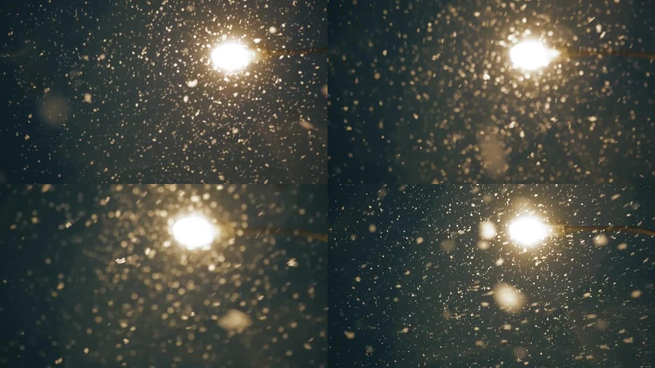 灯笼背景下的夜晚大雪。底视图雪落入镜头。