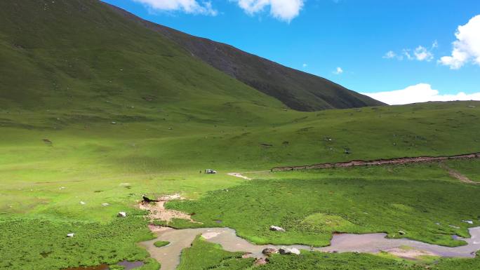 天然牧场 自然牧场 高原牧场 西藏牧场