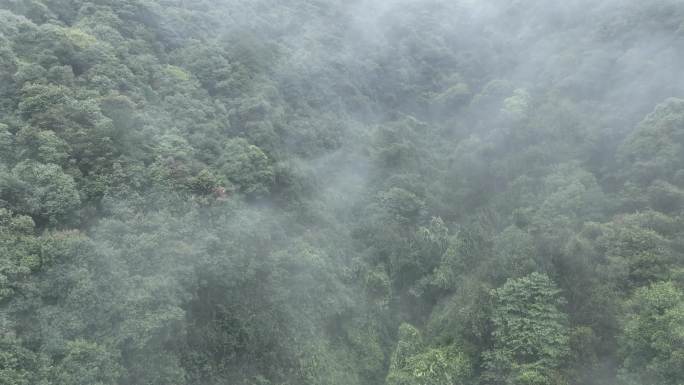 烟雨云雾缥缈的大山