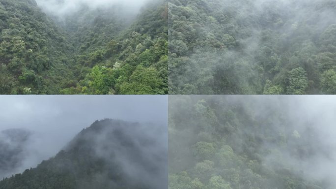 烟雨云雾缥缈的大山