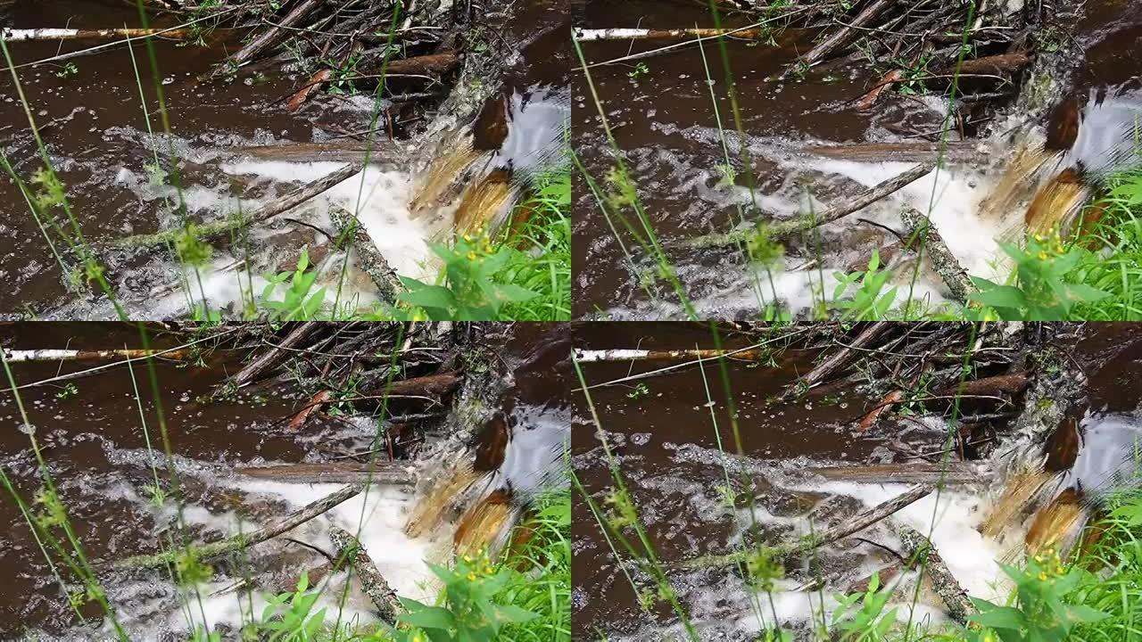 河狸在河流或溪流上竖立的海狸水坝，以防止捕食者并促进冬季觅食。坝体材料为木、枝、叶、草、淤泥、泥、石