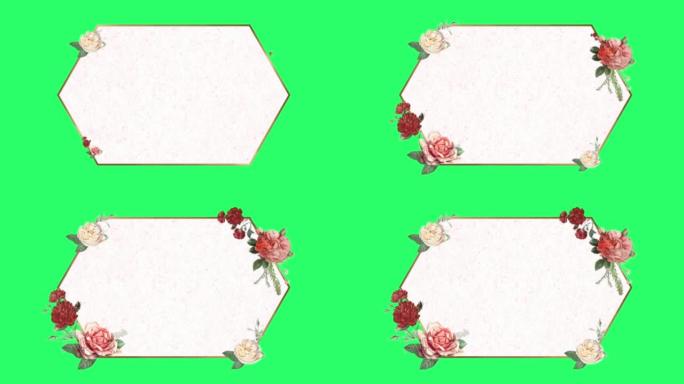 动画粉色花朵六角形框架与绿色背景。
