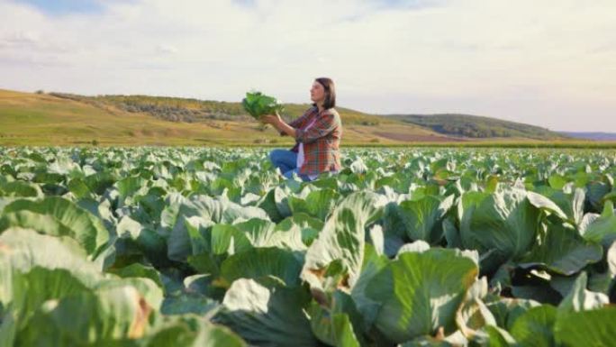 一个女农民骄傲地蹲在她面前拿着一棵卷心菜。