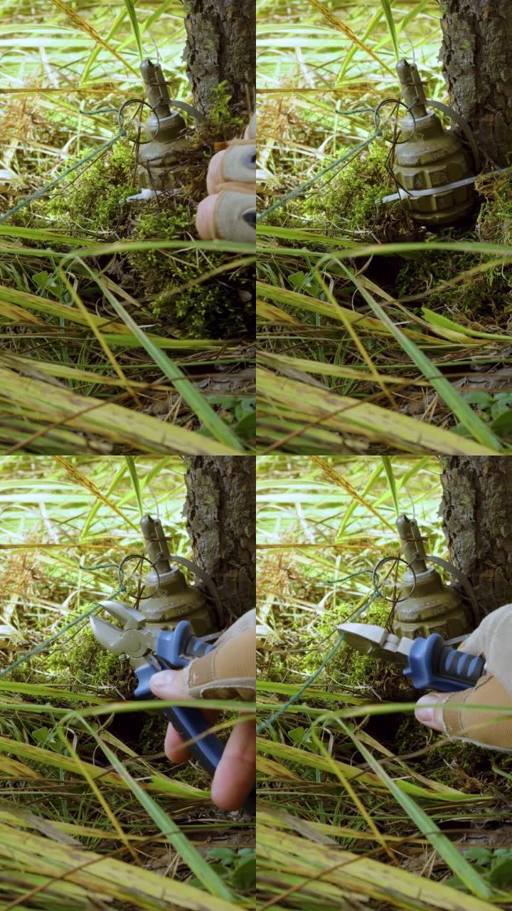 一名士兵用绊网清除手榴弹的垂直视频。敌人在森林里设下的陷阱。
