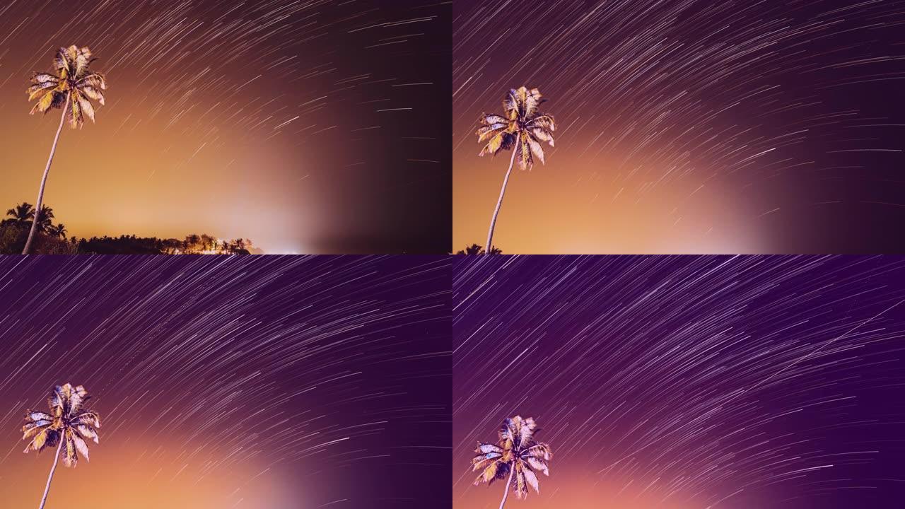 不寻常的模糊恒星影响天空。4k过度。热带沙滩上的夜星天空，有孤独的棕榈树。柔和的颜色。夜空线背景上的