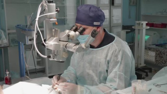 兽医眼科医生使用眼科显微镜对动物的眼睛进行手术。这种工作需要高度的专业精神、技巧和精确度。