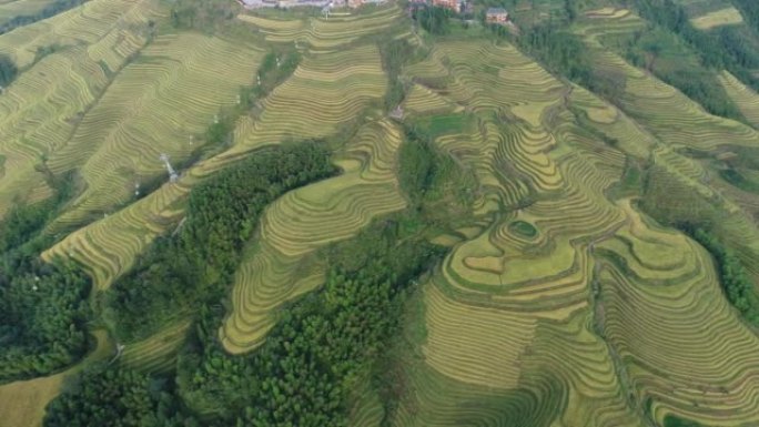 中国桂林龙胜的龙基梯田