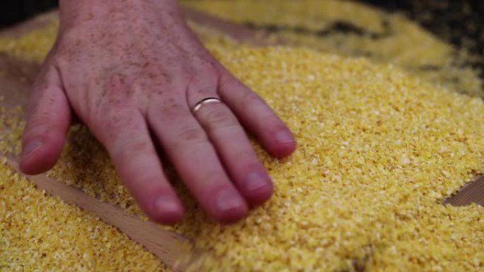 用于制作玉米片的压碎玉米粒