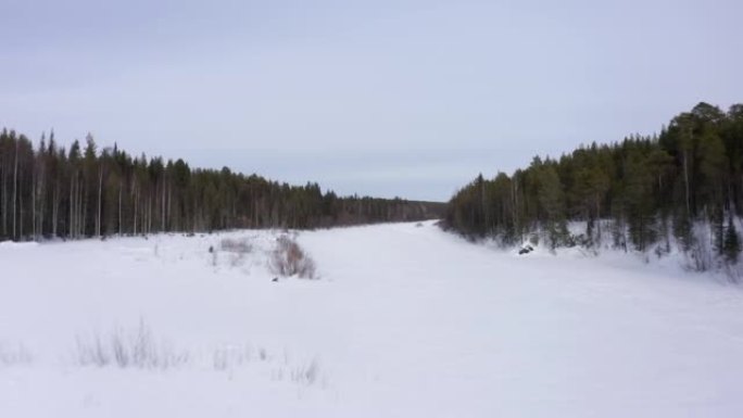 无人机在冰雪覆盖的森林中沿着冰冻的河床飞行