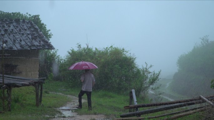 在暴雨中撑伞行走的人