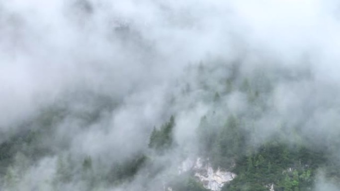 空中无人机拍摄了多洛米蒂与福雷斯，白云岩山脉，白云岩阿尔卑斯山或白云岩阿尔卑斯山的雾状松树树林，是位