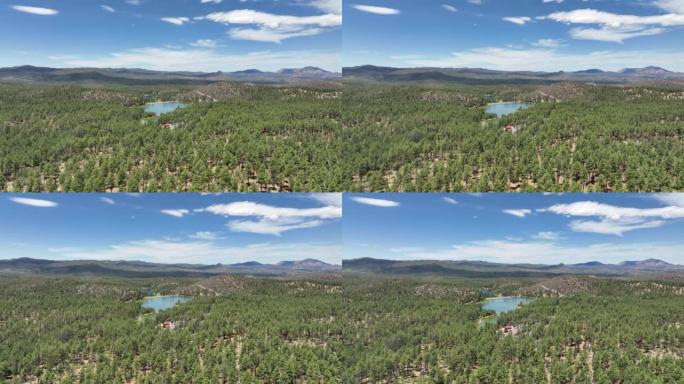 亚利桑那州金水湖旁的森林上空的无人机镜头