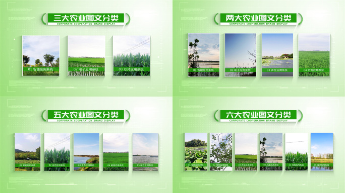 农业绿色图文分类
