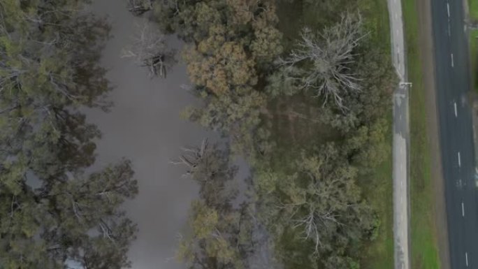 墨累河和坎帕斯佩河极端洪水的鸟瞰图。淹没了维多利亚州的埃丘卡