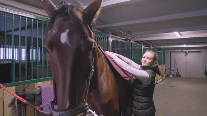 年轻的女骑手用特殊的柔软橡胶垫覆盖她的马。
