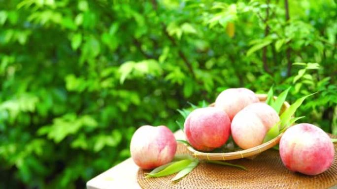 模糊花园背景中的新鲜黄色和粉红色桃子水果，花园木桌上的竹篮中的白色桃子。