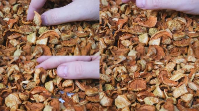 冬天收割过程中的苹果切片和干燥。农民的手检查水果的干燥质量