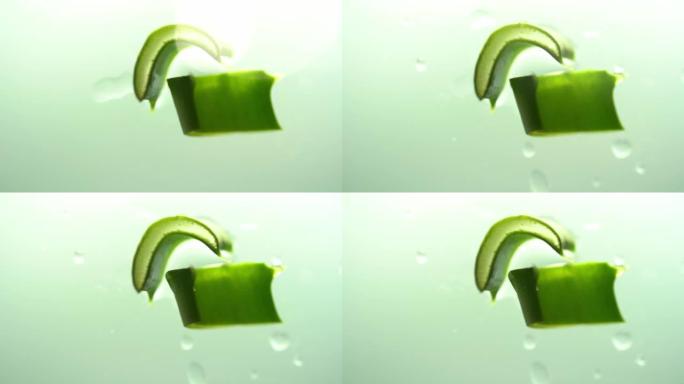 俯视图，芦荟片。移液器与芦荟汁滴在绿色背景上多汁的芦荟叶切片上。天然化妆品的概念。