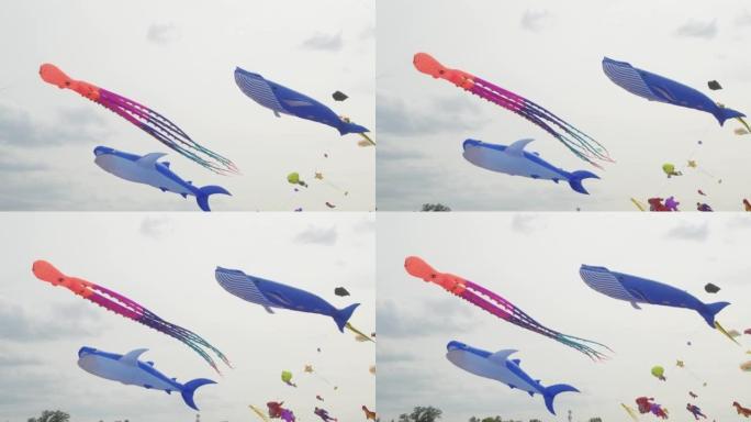 各种形状和大小的风筝在蓝天上飞翔的壮观景色