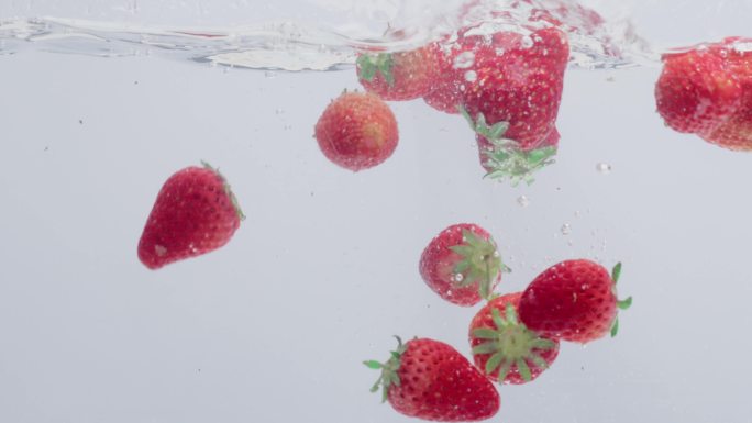 草莓 入水 升格