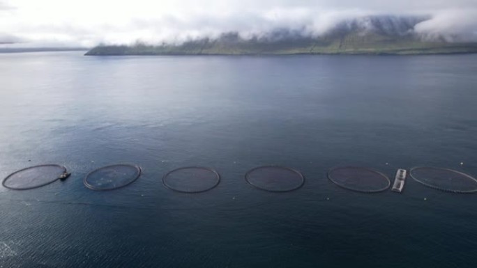 法罗群岛圆形网状野生鲑鱼的鸟瞰图